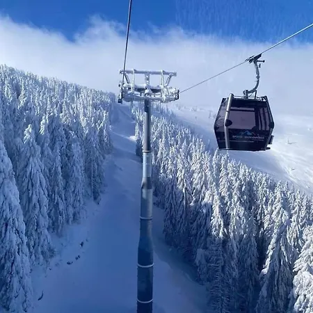 Bele Staze Kopaonik Z Brzece